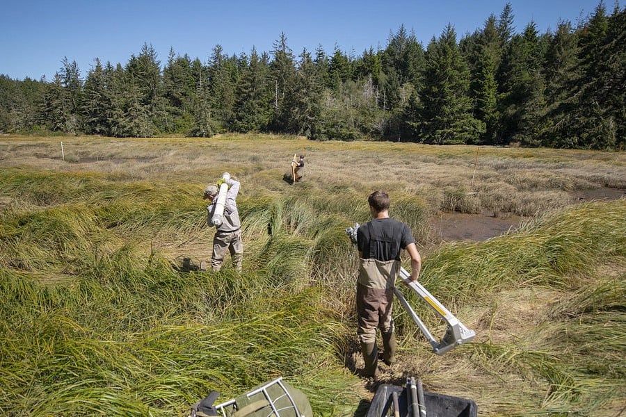 Environmental education and research at the UO