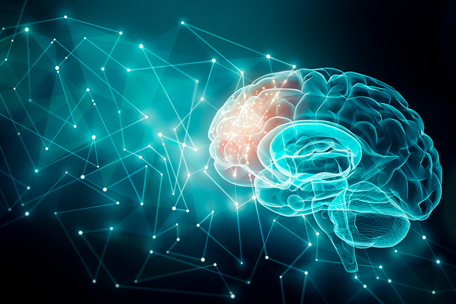 A multidisciplinary approach to mental health research