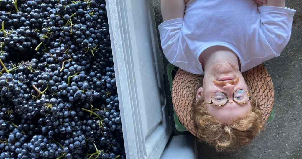 Owen McNally lays next to a harvest of grapes