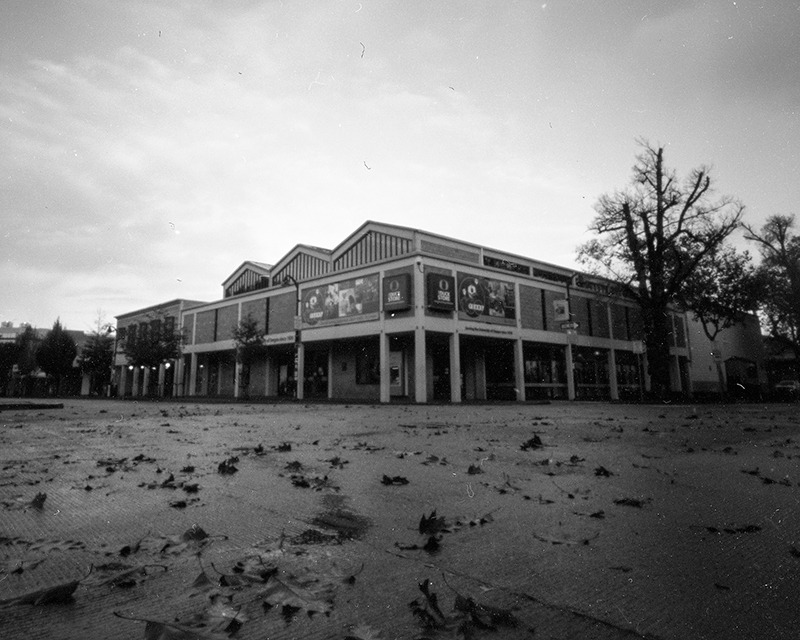 The Duck Store