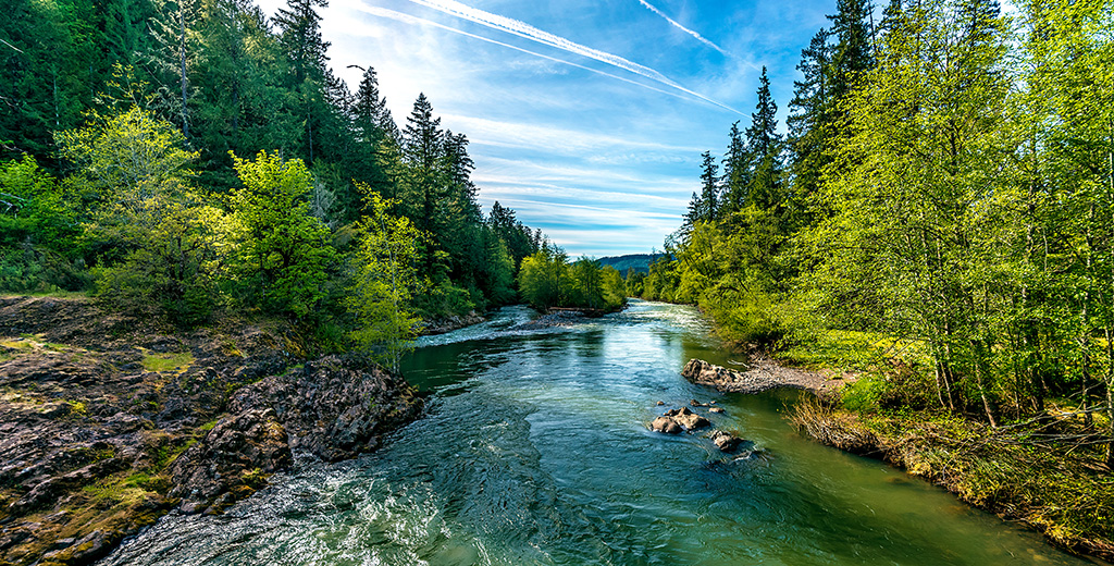 Blazing a Path to Wilderness