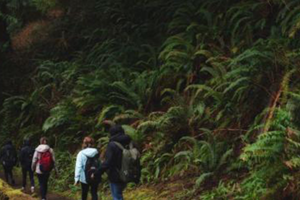 Students on a coastal hike