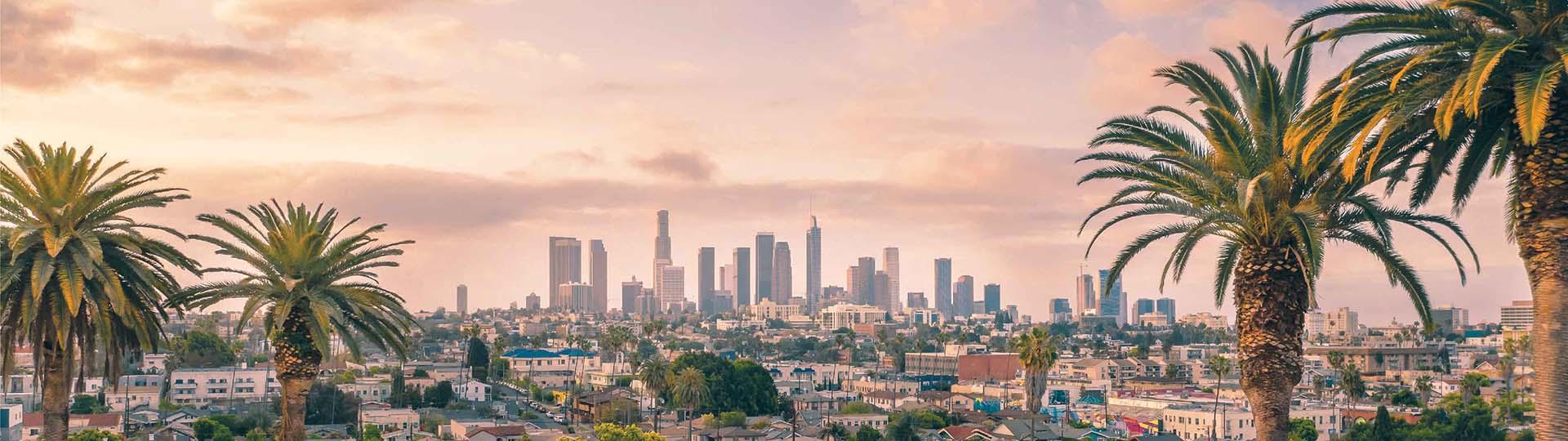Palm trees with LA city in the background