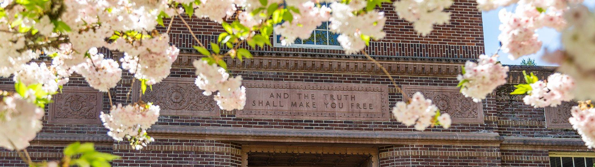 Flowers on tree in front of Knight Library
