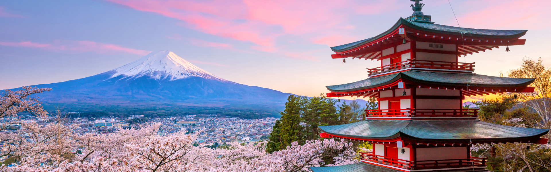 Cherry blossoms and a red traditional Japanese building sit in the foreground of a photo of Mount Fuji during a pink sunset.