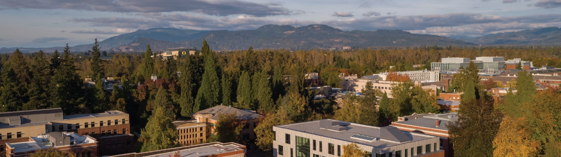 An overview aerial shot of Eugene