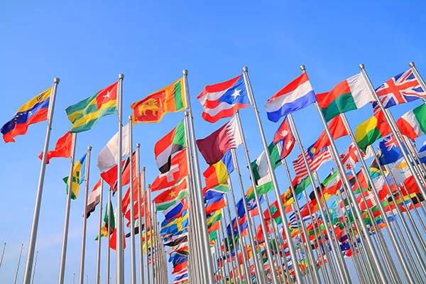 Ducks of Impact: Alumni working in diplomacy