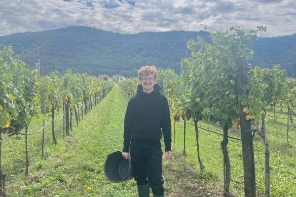 Owen McNally standing in an Austrian vineyard