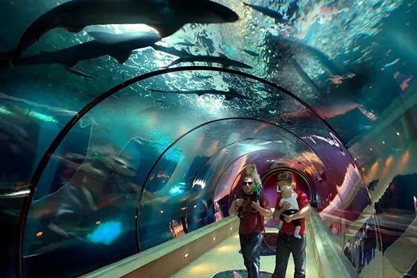 Oreogn Coast Aquarium aquatic tunnel