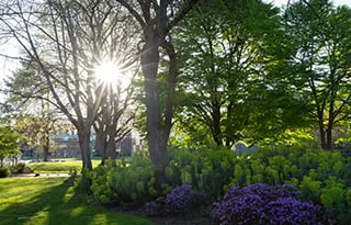 UO Campus in spring