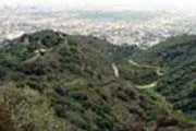 Photo of Runyon Canyon