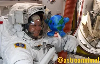 Plushie in space