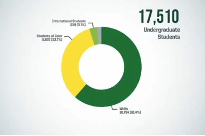 New demographics dashboard debuts on provost's website