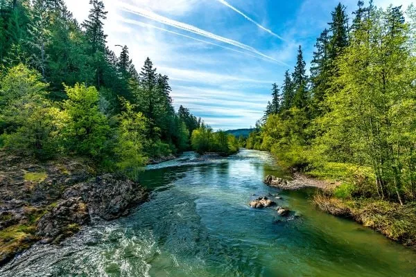Blazing a path to wilderness