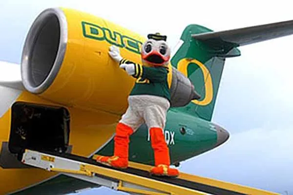 Duck on airplane wing
