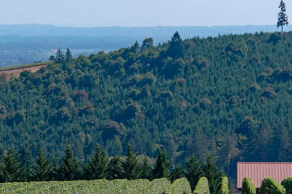 FEG announces purchase of Black Walnut Inn & Vineyard