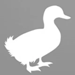 duck