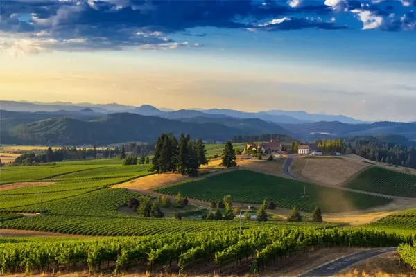 Match Maker: King Estate Winery Rising Stars Combine For Elevated Restaurant Experience