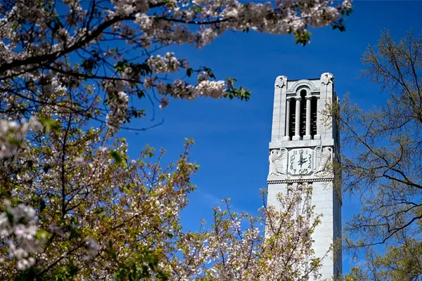 Laura Clarke Wins UNC Board of Governors Award for Excellence in Teaching