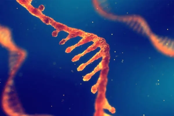 UO chemist gets grant to study more RNA strands at once