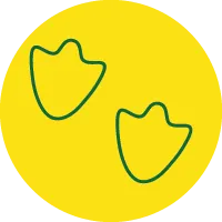 green outline of duck footprints on yellow circle
