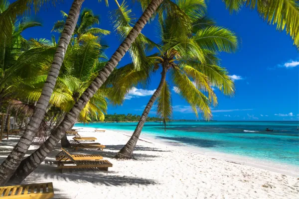 A beach in Panama with palm trees and white sand.