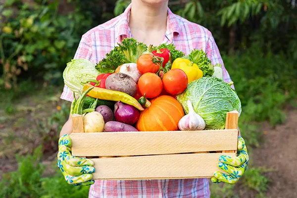 A person holding a crate full of various vegetables. 