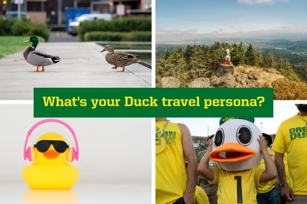 What's your Duck travel persona?