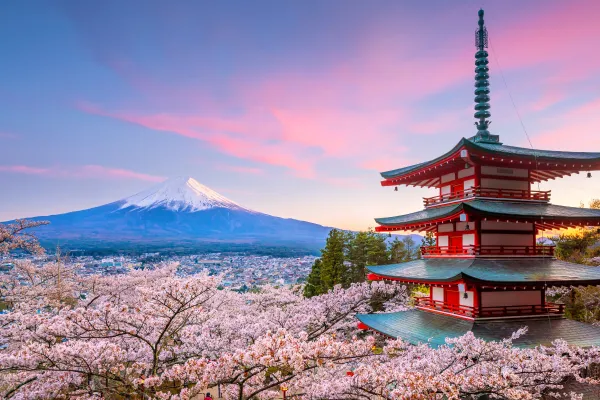Cherry blossoms and a red traditional Japanese building sit in the foreground of a photo of Mount Fuji during a pink sunset.