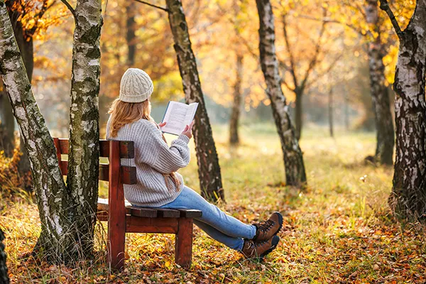 A person sits on a bench reading a book among a grove of trees with yellow leaves.