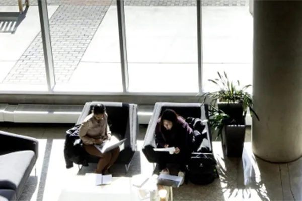 Two people sit in large black chairs working at laptops while backlight by floor to ceiling windows. A green frilly plant sits to the right of the two people in an office building setting.